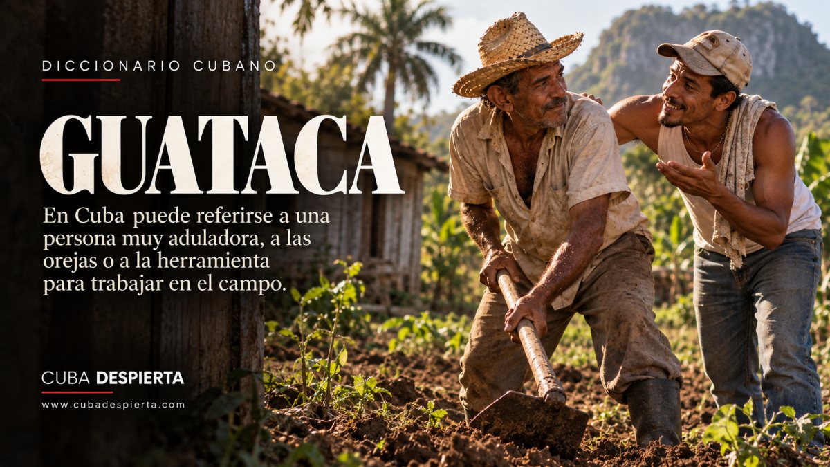 Campesino trabaja la tierra con una guataca mientras otro hombre le habla con zalamería en un campo de Viñales, imagen que juega con los sentidos de guataca